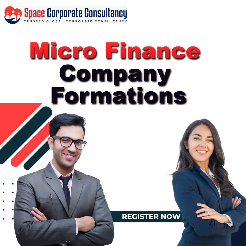 MICRO FINANCE COMPANY